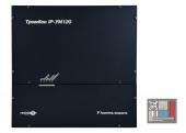 Усилитель мощности Тромбон IP-УМ120 исполнение 2